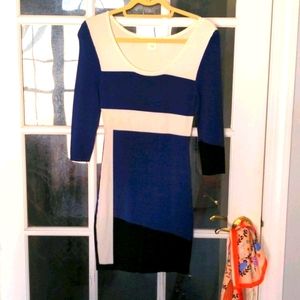 Arden B. Sweater Dress!